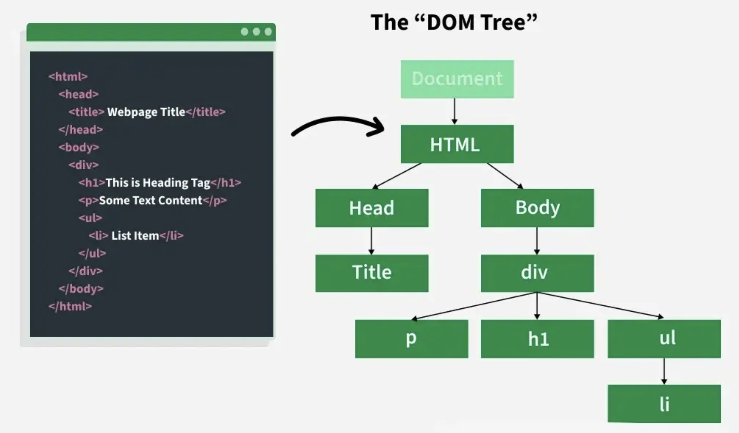 DOM: The Tree